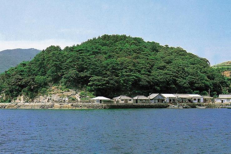 욕지도, 메밀잣밤나무숲