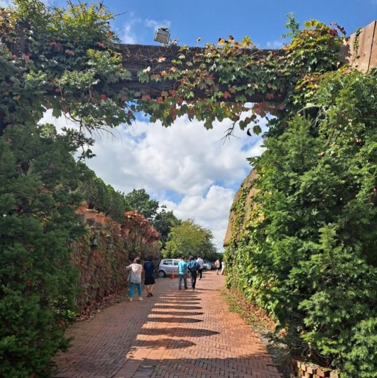 타샤의정원