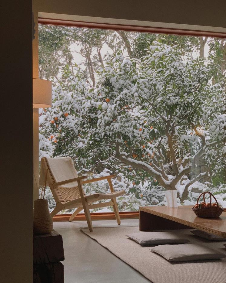 폴개우영 @polgaeoo