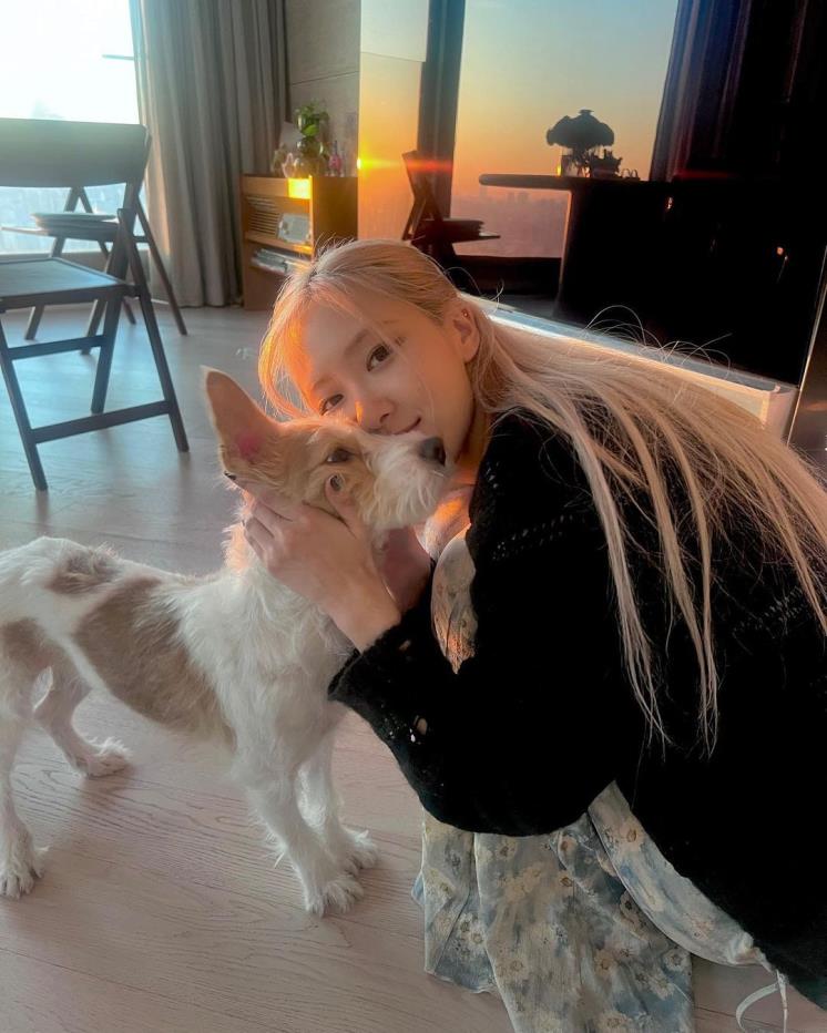 각 셀럽 인스타그램