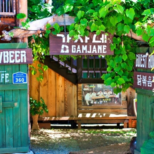 @pyeongchang_gamjane