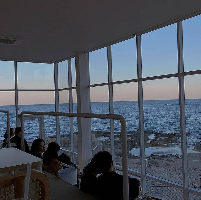 @swimmingturtle_in_ayajin