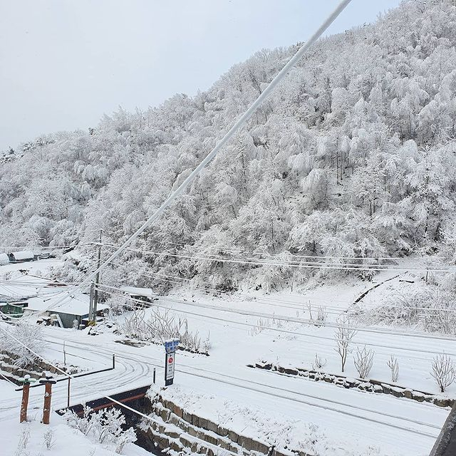 @cafe_1104_36