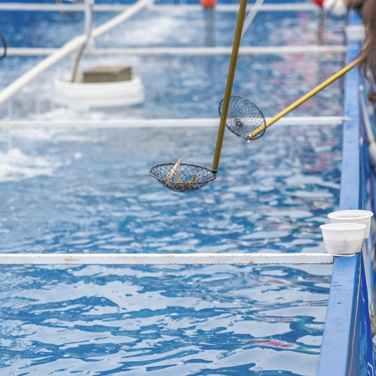 뚝섬한강공원 눈썰매장