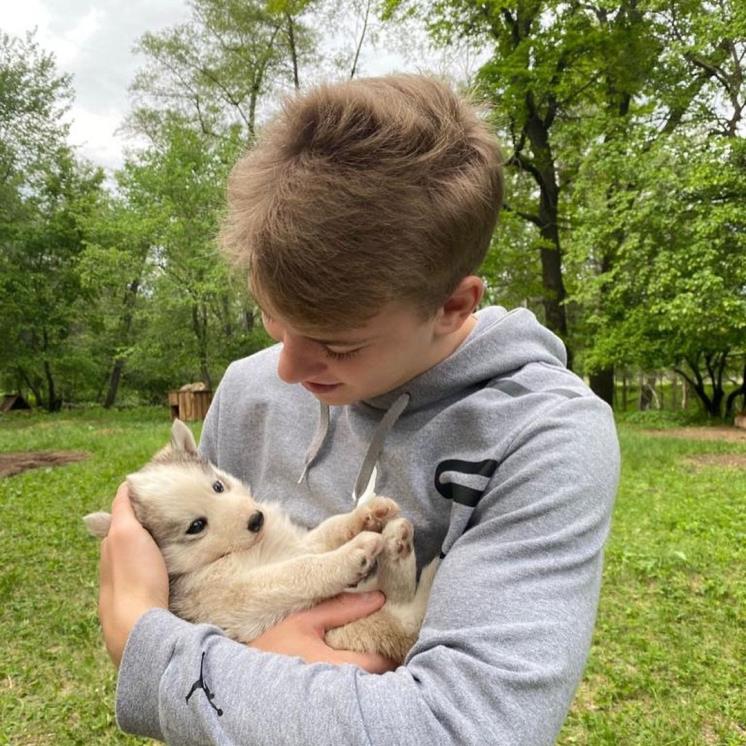 아르세니 그리추크