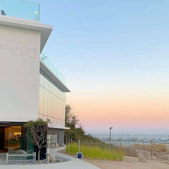 @swimmingturtle_in_ayajin