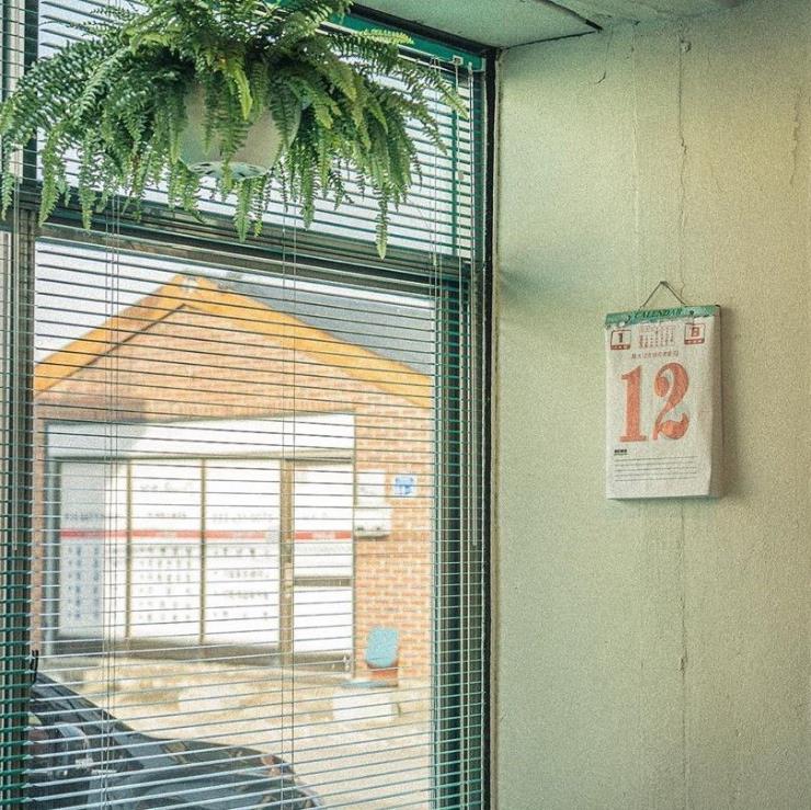 @ashdangcho_official