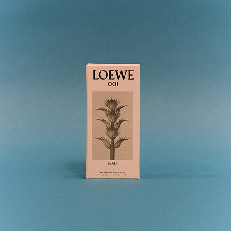 로에베의 새하얀 상자에 인쇄된 칼 블로스펠트의 사진을 좋아한다.