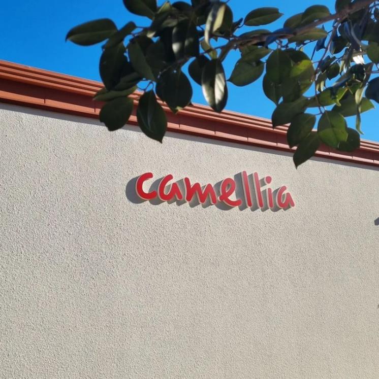 @camellia_poolvilla 