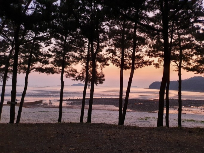 병술만 캠핑장(@병술만 캠핑장)