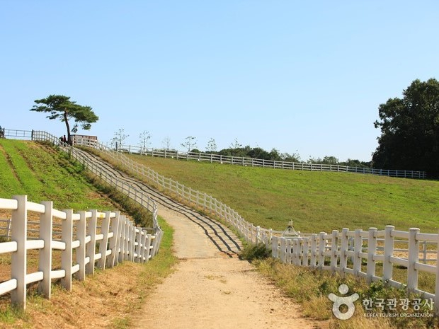 ⓒ한국관광공사