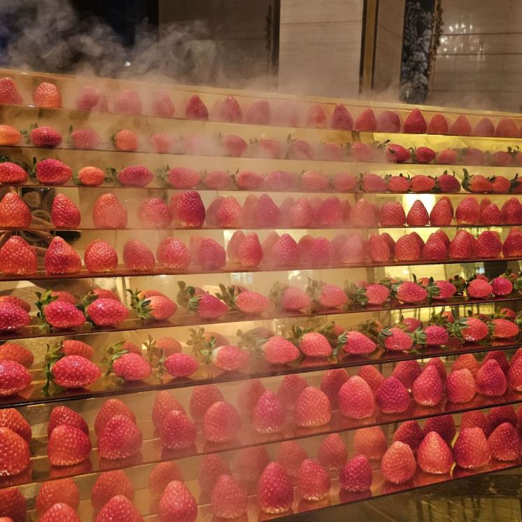 네이버 블로그 @kimsj4872