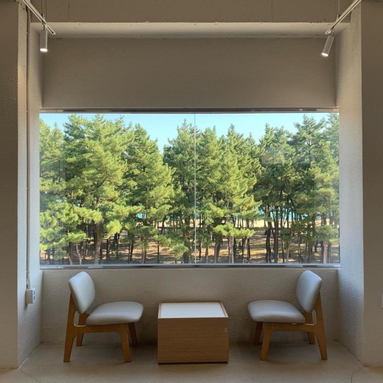 보사노바 커피로스터스 속초점 @bossanova_coffee_roasters