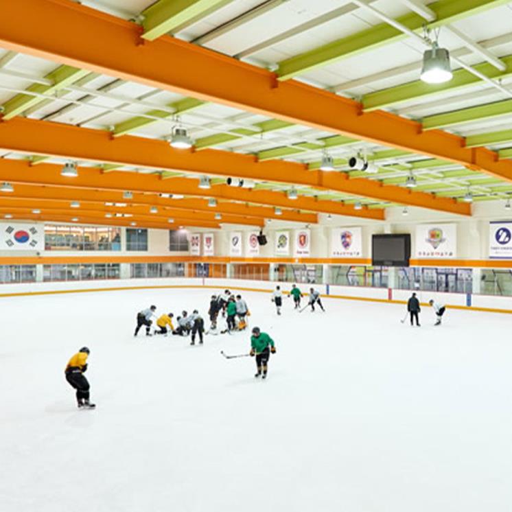 제니스 아이스링크