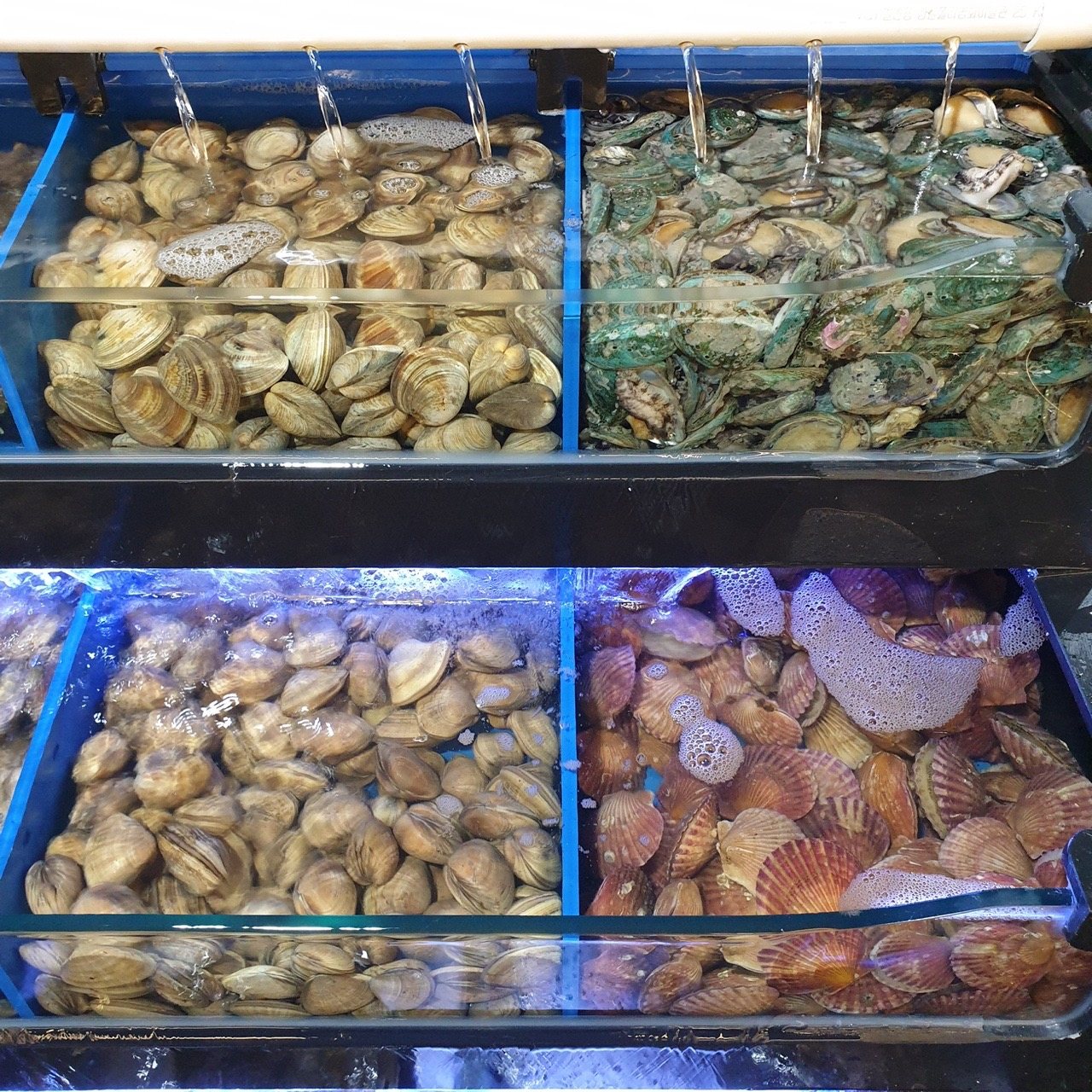 무한조개 부천점