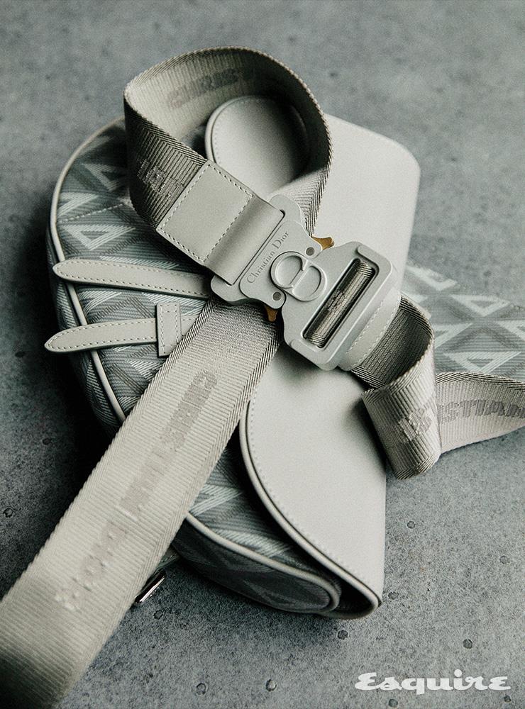 그레이 CD DIAMOND 캔버스 & 카프스킨 새들백 가격 미정 디올 맨.