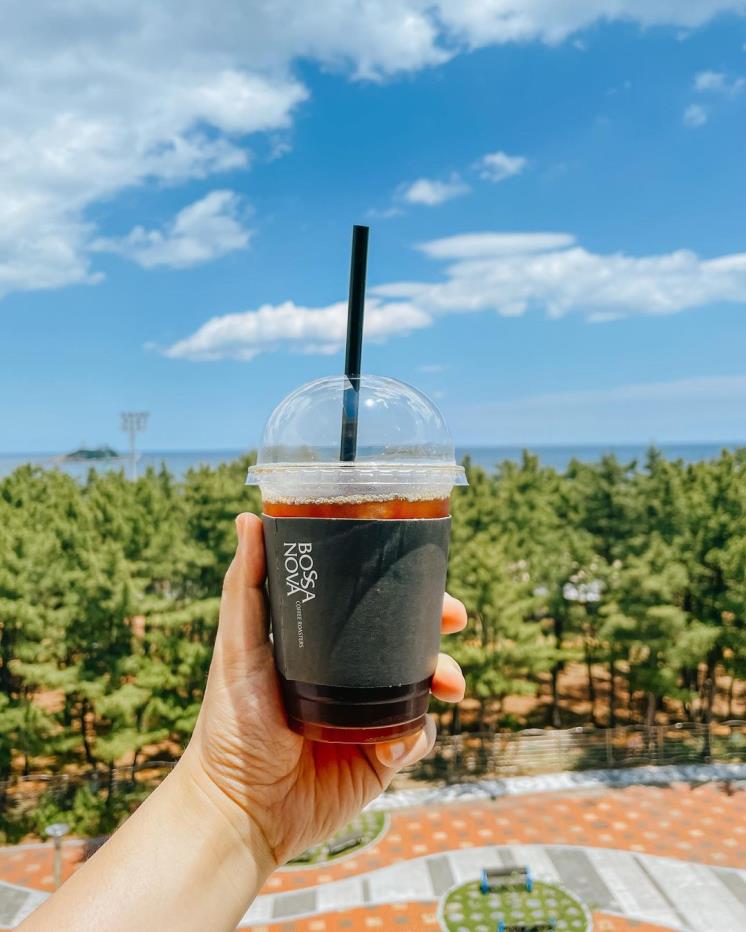 보사노바 커피로스터스 속초점 @j_hyun_h