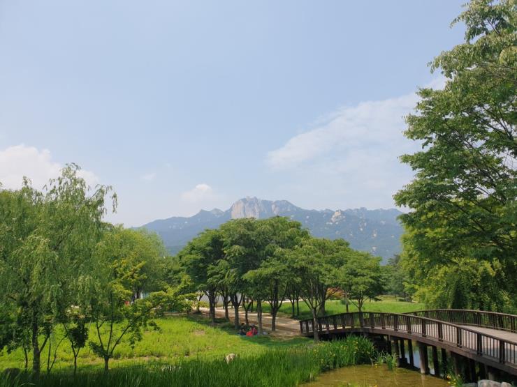 창포원 도봉구청 공식블로그