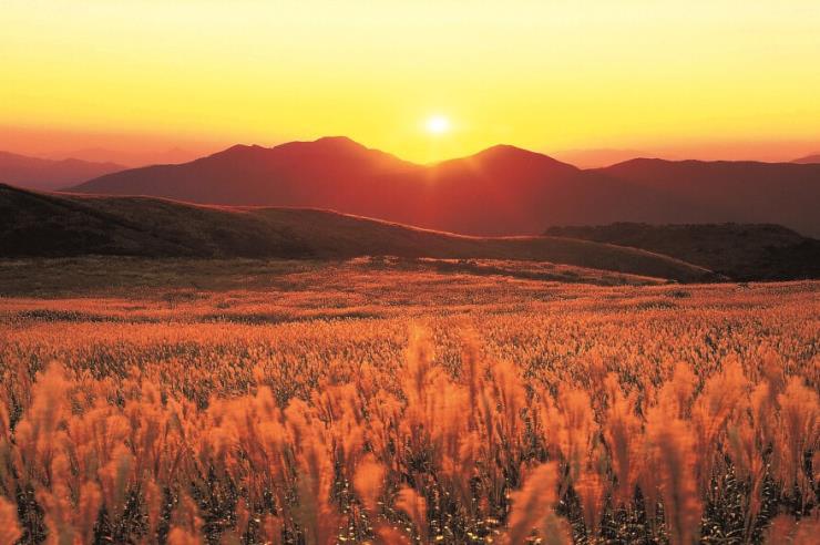 ⓒ울산관광 공식홈페이지