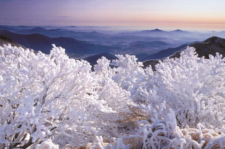 ⓒ울산관광 공식홈페이지