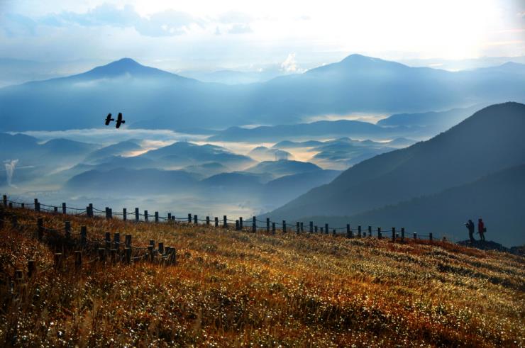 ⓒ울산관광 공식홈페이지