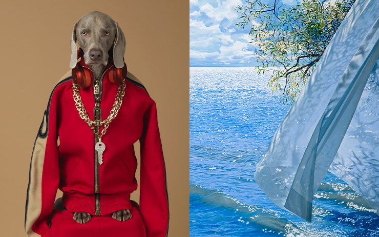 왼쪽 : 키(Qey, 2017) ⓒ William Wegman - (주)이엔에이파트너스 제공 / Late Breeze tiff 1@300 - 마이아트뮤지엄 제공