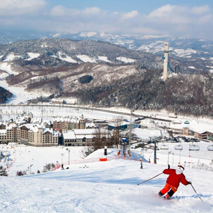 알펜시아 리조트