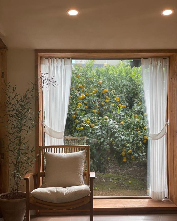 귤담길 @gyuldamgil