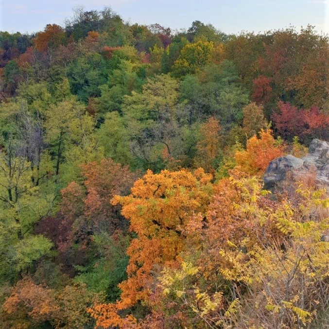 안산자락길