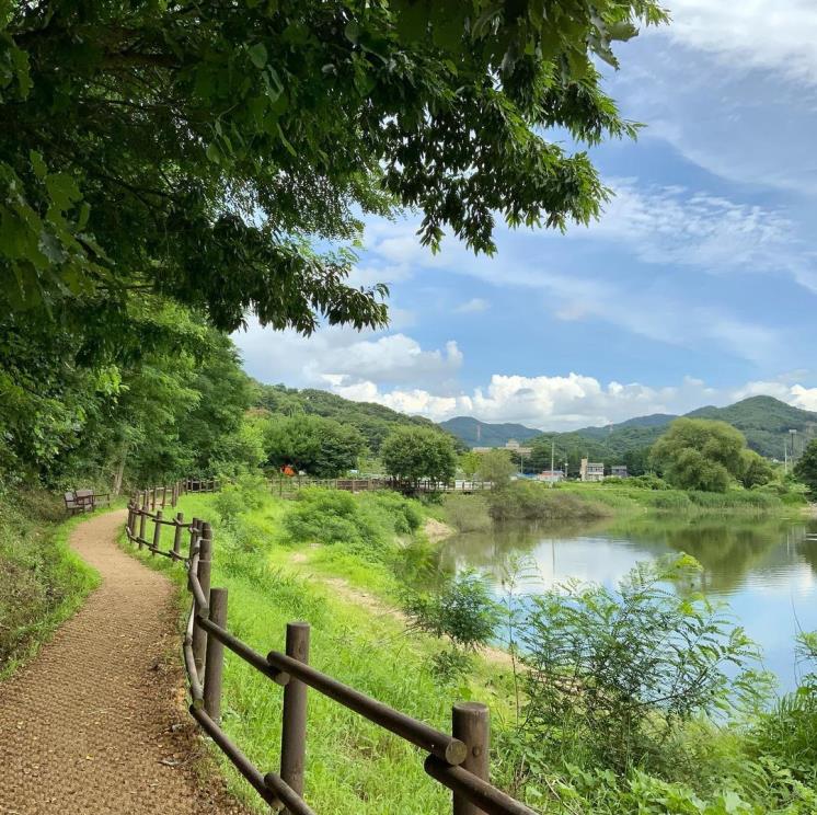 금광호수 @dreaminplants