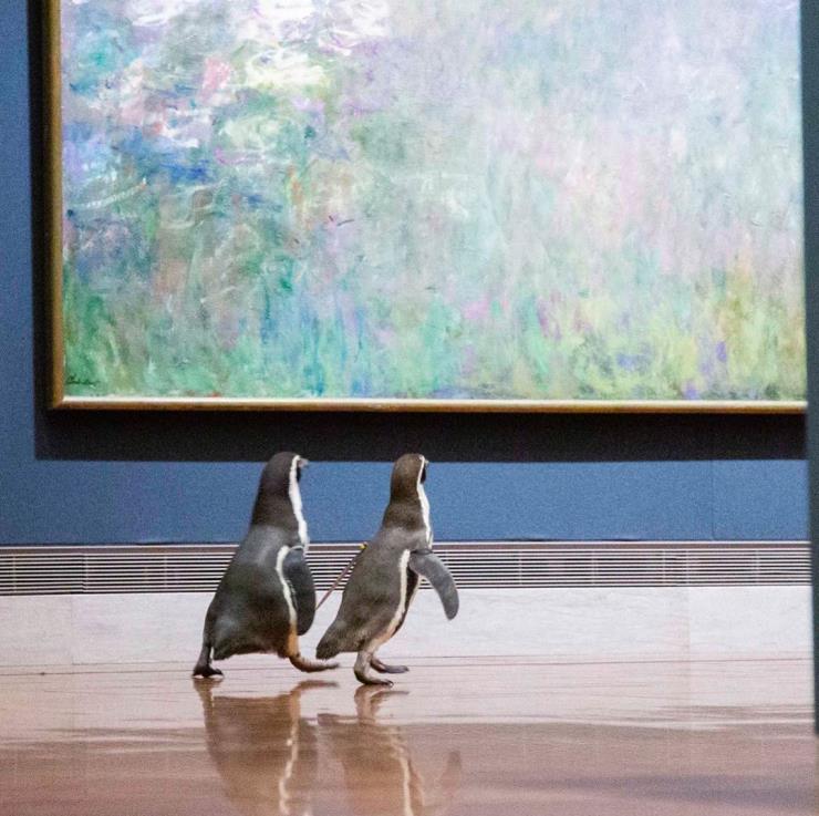 넬슨 앳킨스 미술관 펭귄