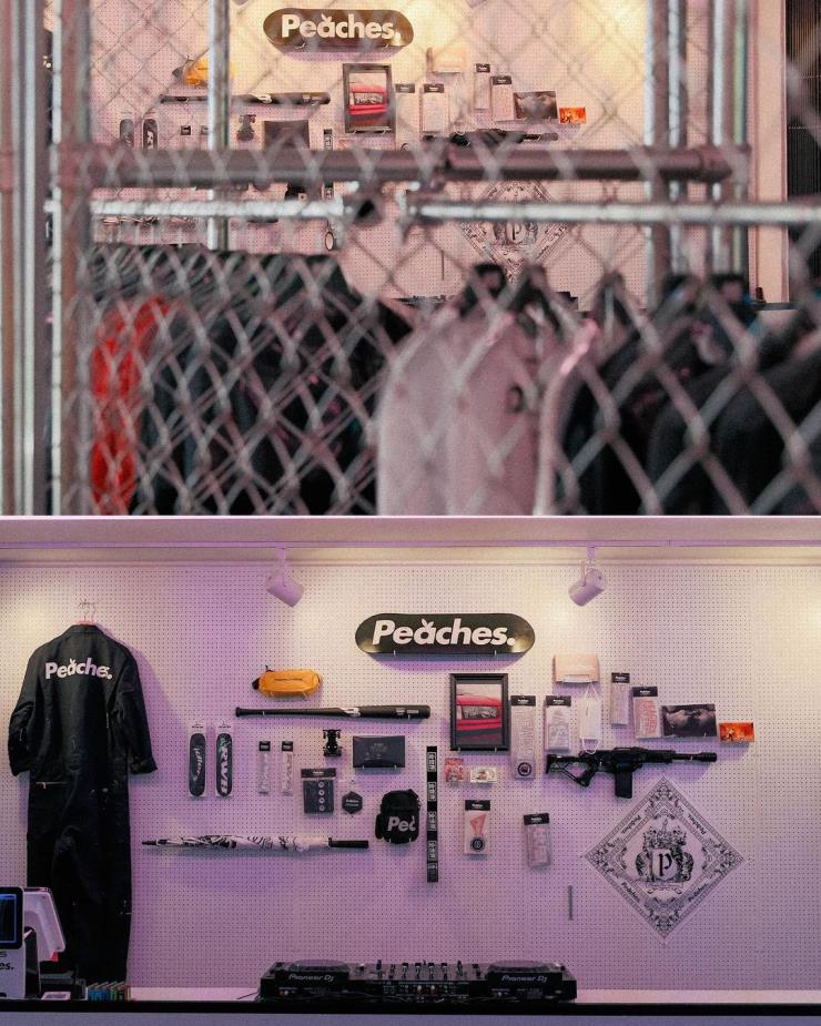 피치스 도원 @_tacit___