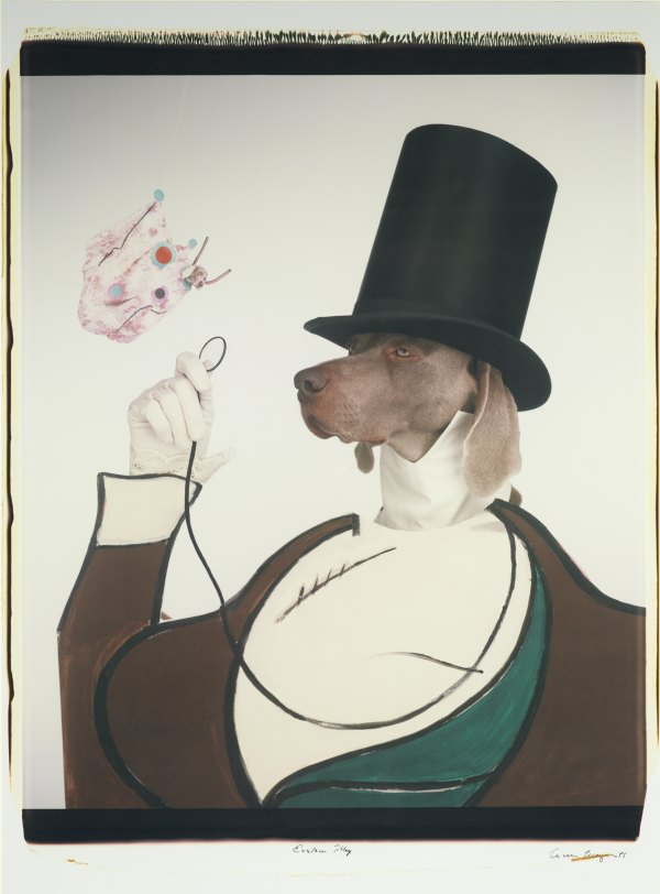 Eustace Tilley_1999 ⓒ William Wegman / (주)이엔에이파트너스 제공