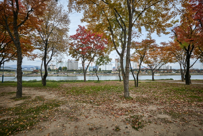 사진출처 한국관광공사