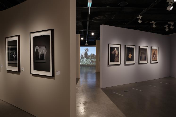 전시장 전경 / (주)이엔에이파트너스 제공