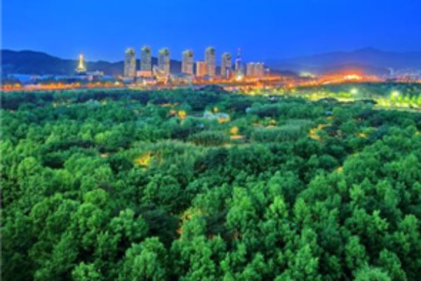 사진출처 한밭수목원