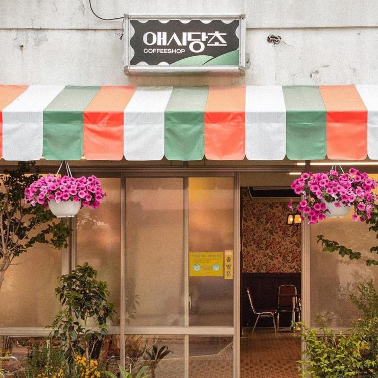 @ashdangcho_official