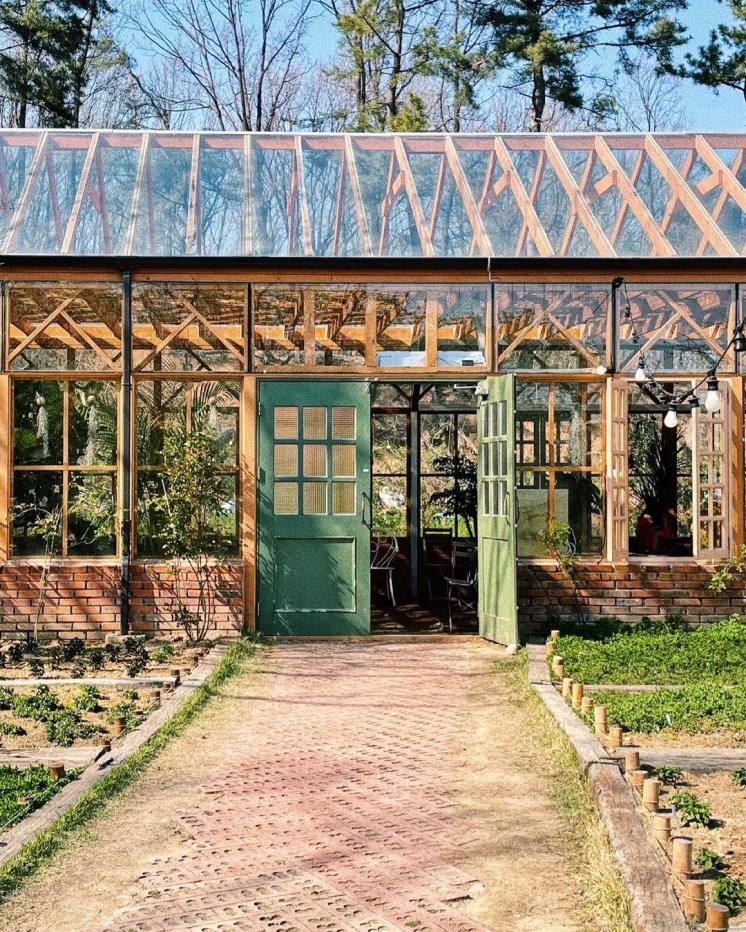 더포레 @sido_rae_