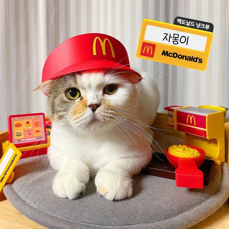 mcdonalds_kr