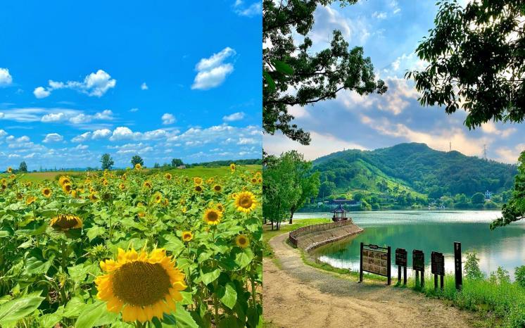 왼쪽 : 안성팜랜드 @im.__.th / 오른쪽 : 금광호수 @manymi_ 