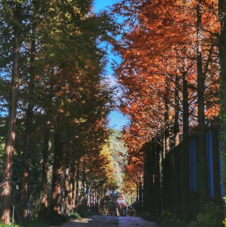 @sancheong_sky_garden_official