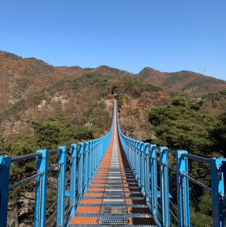 사진 출렁다리 ⓒ원주시 문화관광 공식 블로그