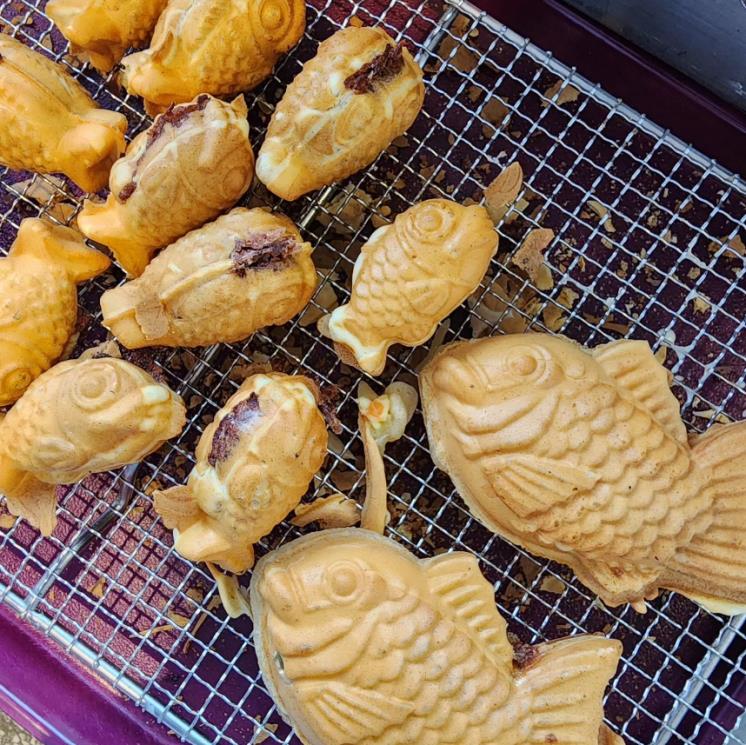 인스타그램 @gopatshu