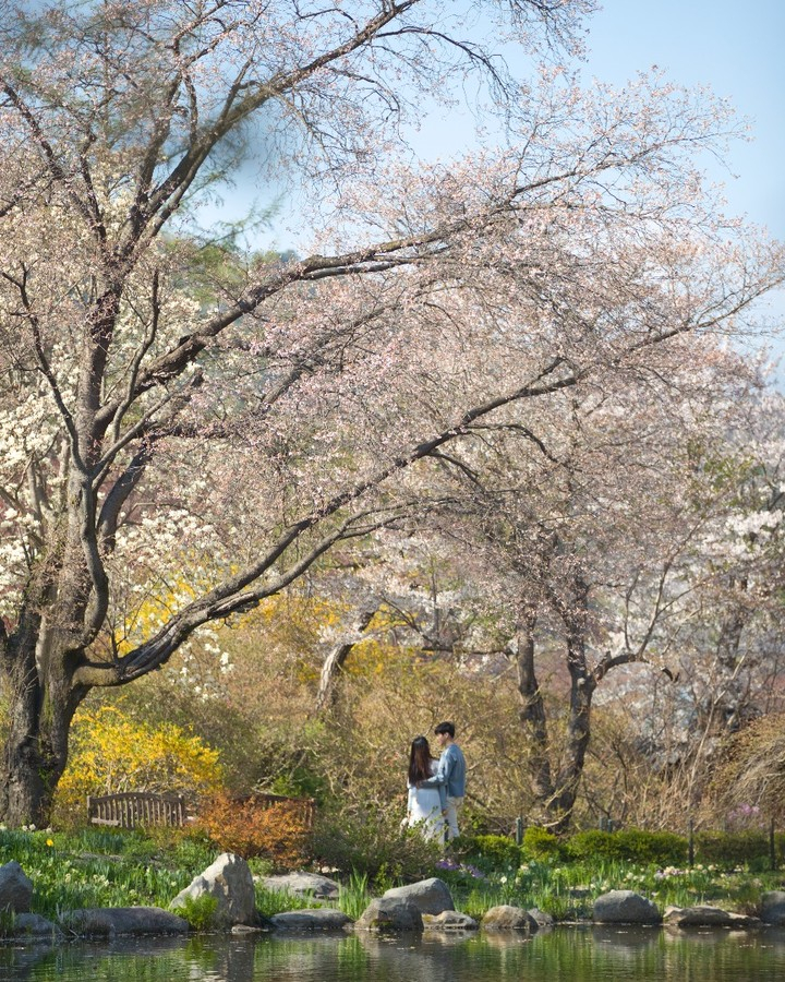 아침고요수목원 @morningcalm_garde