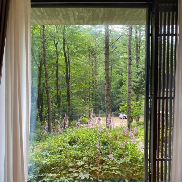 @오대산 전나무숲 쉼터 밀브릿지