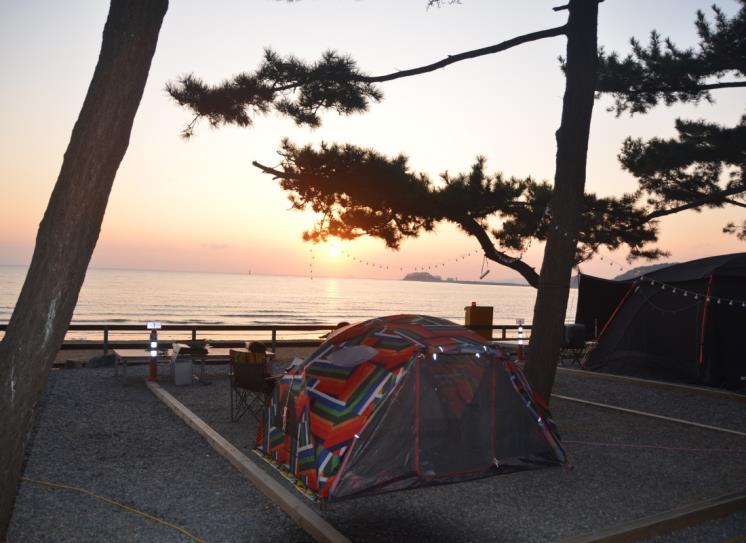 몽산포 오토캠핑장(@몽산포 오토캠핑장)