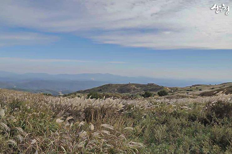ⓒ산청군청 공식블로그