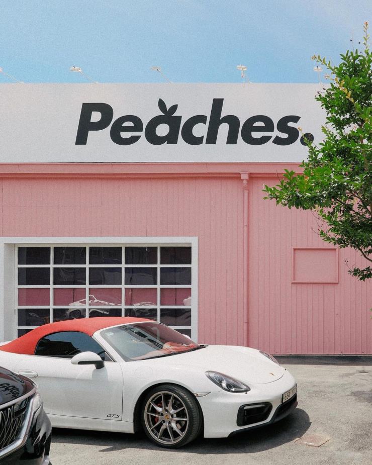 피치스 도원 @_tacit___