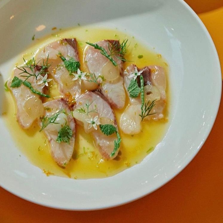 오디너리 플레져 @op.seoul