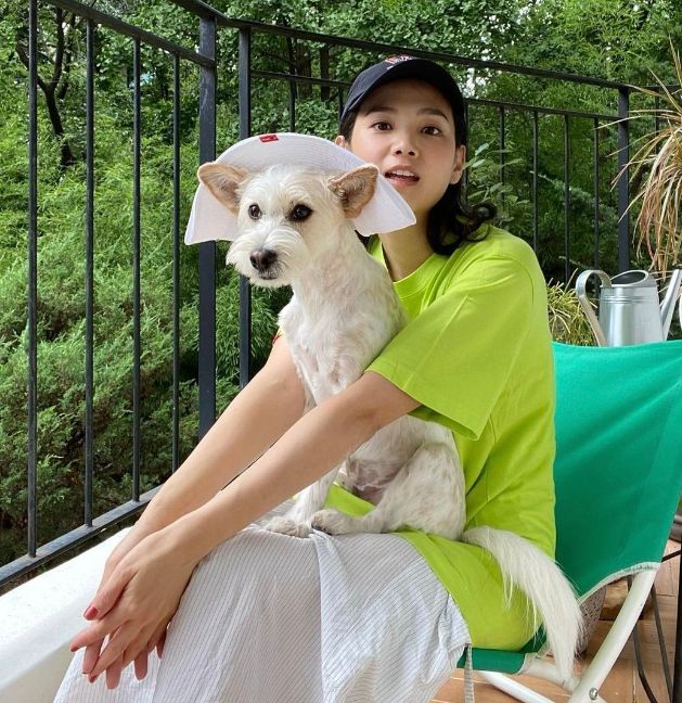 각 셀럽 인스타그램
